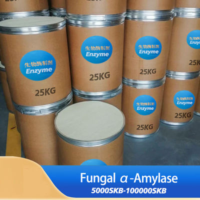Amylase For Baking 100000SKB For Baking Bread Customizing Enzyme Activity Specifications