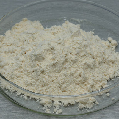 Baking Industry Enzymes 100000SKB Amylase Enzyme For Bread