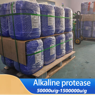 Bacterial Alkaline Protease In Food Industry Providing Enzyme Preparation Sample