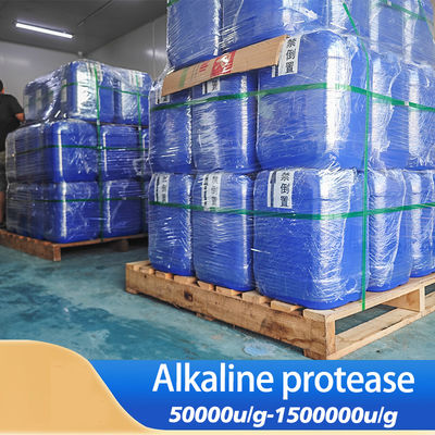 Alkaline Protease Enzyme Liquid Type In Food Industry Providing Enzyme Preparation Sample