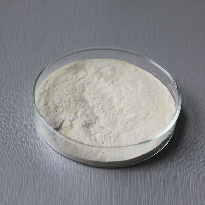 Food Grade 1200GDU 2400GDU Bromelain Extract Powder CAS Number 9001-00-7