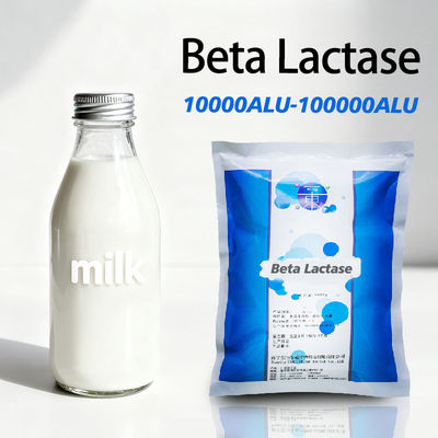  lactase enzyme for milk 10000ALU-100000ALU Providing Enzyme Preparation Sample Testing