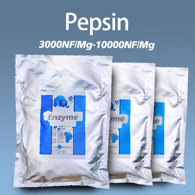 High-purity pepsin Powder used to hydrolyze protein into smaller polypeptides and free amino acids