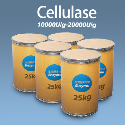 Food Grade Acid Cellulase Enzyme Powder 20000U/G  Hydrolysis Technology Guidance