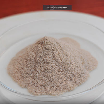 Flavourzyme Food-Grade Enzyme application in protein hydrolysis