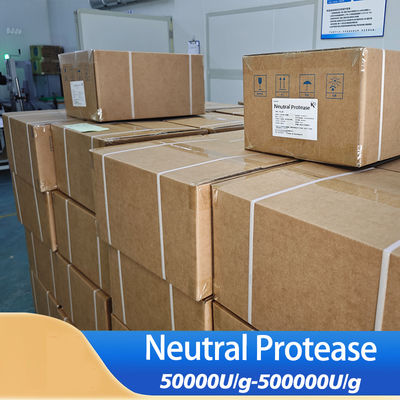 Neutral Protease Enzyme Powder use in industry of animal feed  Pharmaceutical and Food Processing