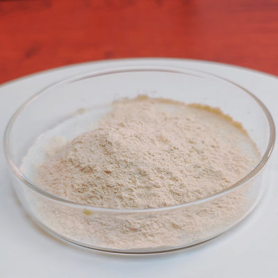 gastric protease use in industry of Pharmaceutical and Food Processing