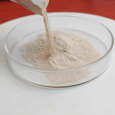 pancreatin protease powder use in industry of pharmaceutical and food