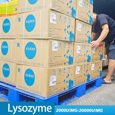 chicken egg lysozyme use in industry of medicine and food preservation providing enzyme preparation sample