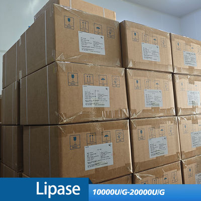 application of lipase enzyme powder in detergent Sweet essence and bread production