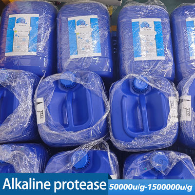 Alkaline Protease Enzyme Liquid Type use in industry of detergent and leather