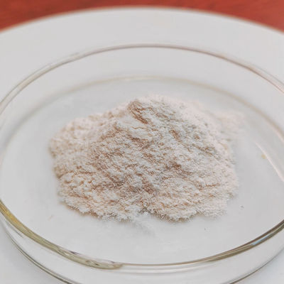 Application of Alpha Amylase powder in Baking starch sugar and feed