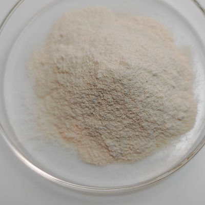 enzyme tannase Powder use in food and tea beverage providing enzyme preparation sampl