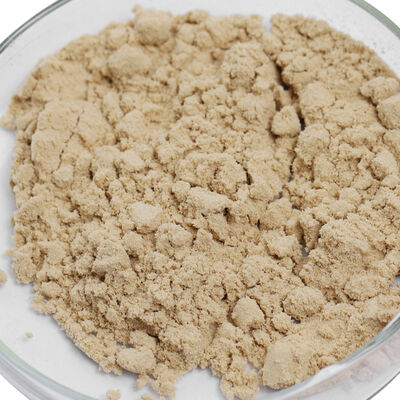 phosphodiesterase 5 enzyme use in industry of yeast extracts and pharmaceutical