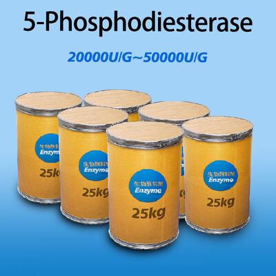 phosphodiesterase 5 enzyme use in industry of yeast extracts and pharmaceutical