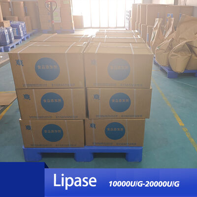 lipase breaks down fats Used for baking bread and Sweet essence customizing enzyme activity specifications