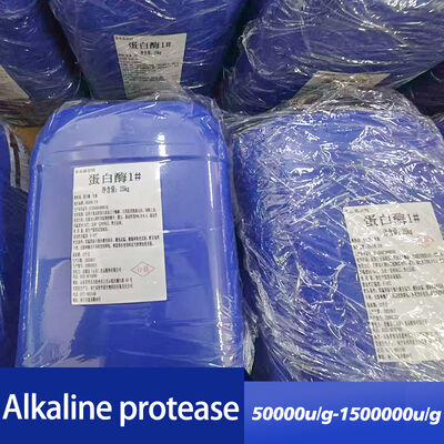 Food grade alkaline protease powder for protein hydrolysis customizing enzyme activity specifications