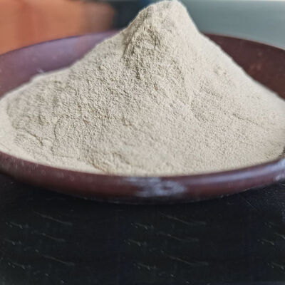 Application of thermostable alpha amylase in starch processing and feed