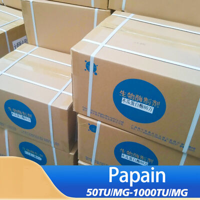 papain in papaya leaves 50TU/MG-1000TU/MG customized food grade&feed grade