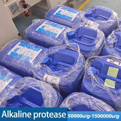 Food grade enzyme alkaline protease for Protein degradation and feed