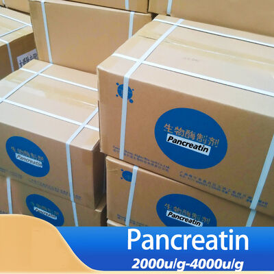 pancreatin buy 4000u/g use in industry of pharmaceutical food