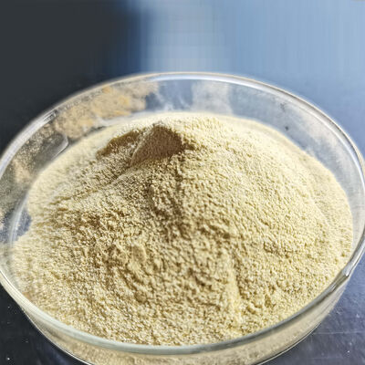 Fungal amylase enzyme for bread Provide enzyme preparation sample testing