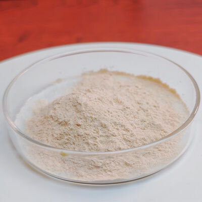 Gastric acid pepsin Powder 3000NF/Mg For Health Product Production