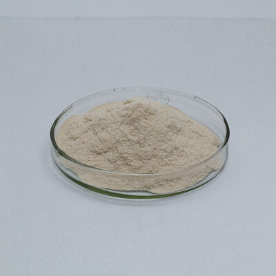 Alcalase Protease Enzyme Powder CAS 9014-01-1 use in industry of detergent and feed