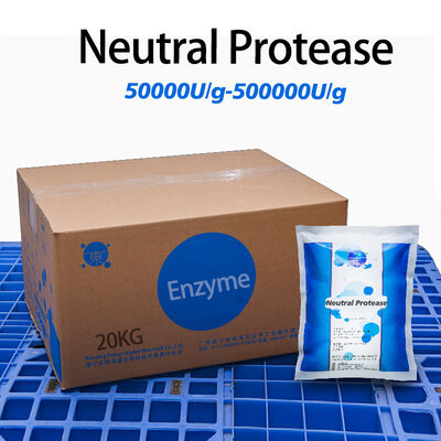 Protein Hydrolysate Enzyme Neutral Protease Enzyme preparation sample testing