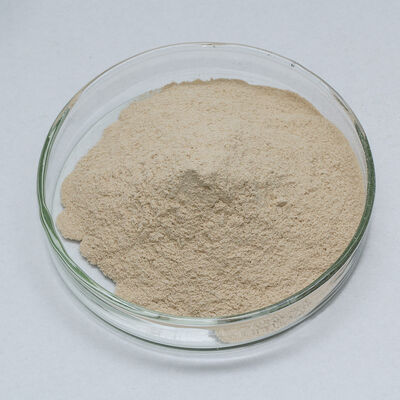 alcalase 2.5 l Protease use in industry of detergent and feed