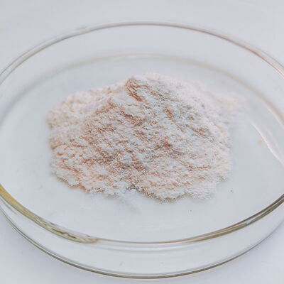 bacterial alpha amylase use in industry of Food processing and Oat milk beverage