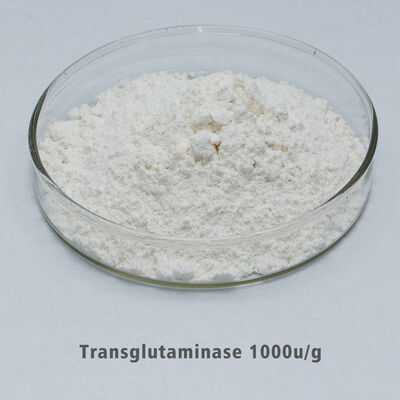 Transglutaminase Enzyme Application in Hot-Rolled Sausage Binding