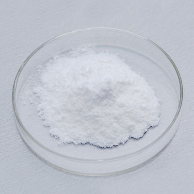 beta lactase enzyme in milk is used in the processing of milk  yogurt dairy products
﻿