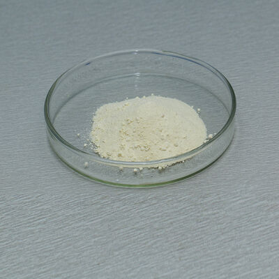 Tannase use in food and tea beverage Provide enzymatic hydrolysis technology