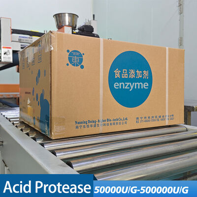 Acid Protease Raw Material Manufacturer Customized food grade industrial grade