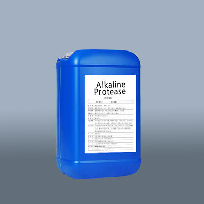 Alkaline protease enzyme used to hydrolyze protein into smaller polypeptides and free amino acids