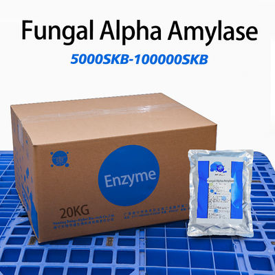 10000SKB Baking Industry Enzymes For Increasing Bread Volume Fungal Alpha Amylase
